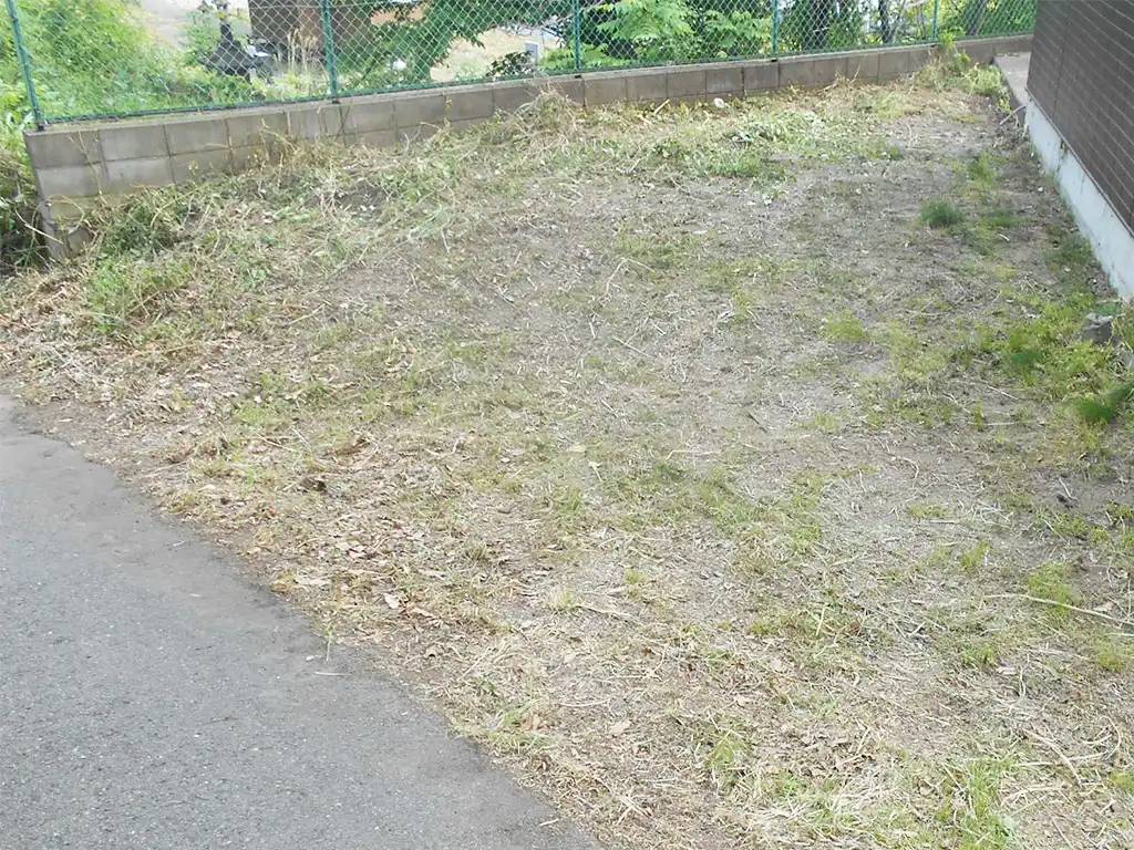 除草作業　施工後